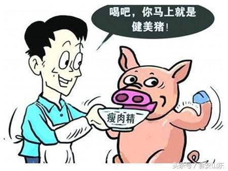 國產(chǎn)氣相色譜儀在食品安全檢測中都有哪些應(yīng)用分析-氣相色譜儀廠家_國產(chǎn)氣相色譜儀_白酒分析氣相色譜儀-山東譜析科學(xué)儀器有限公司