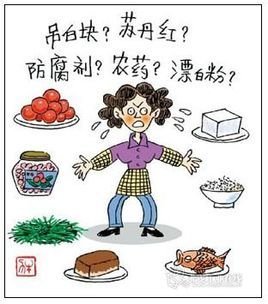 國產(chǎn)氣相色譜儀在食品安全檢測中都有哪些應(yīng)用分析-氣相色譜儀廠家_國產(chǎn)氣相色譜儀_白酒分析氣相色譜儀-山東譜析科學(xué)儀器有限公司