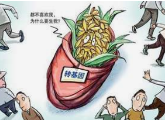 色譜儀廠家淺談 液相色譜儀在食品行業(yè)的檢測應(yīng)用-氣相色譜儀廠家_國產(chǎn)氣相色譜儀_白酒分析氣相色譜儀-山東譜析科學(xué)儀器有限公司