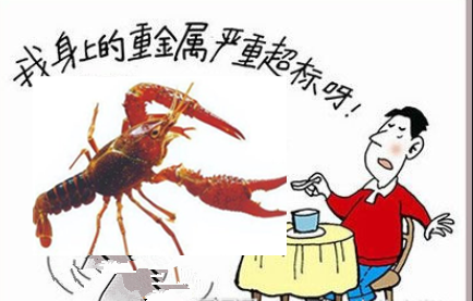 小龍蝦重金屬超標(biāo) 檢測標(biāo)準(zhǔn)助力食品安全-氣相色譜儀廠家_國產(chǎn)氣相色譜儀_白酒分析氣相色譜儀-山東譜析科學(xué)儀器有限公司